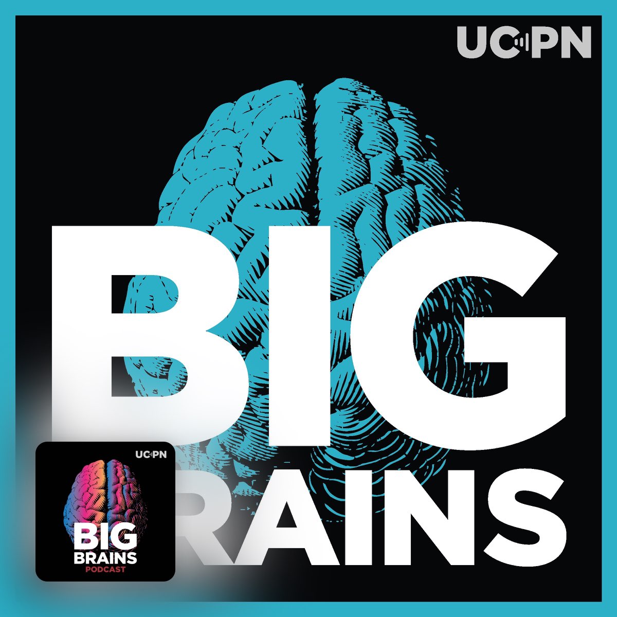 Big Brains — Feeling Stuck? Here’s How to Achieve a Breakthrough